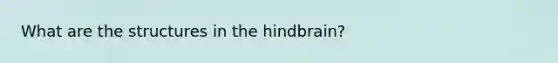 What are the structures in the hindbrain?