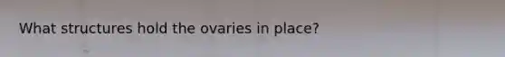 What structures hold the ovaries in place?