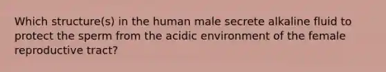 Which structure(s) in the human male secrete alkaline fluid to protect the sperm from the acidic environment of the female reproductive tract?