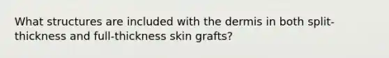 What structures are included with the dermis in both split-thickness and full-thickness skin grafts?