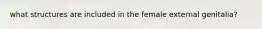 what structures are included in the female external genitalia?