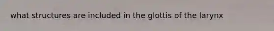 what structures are included in the glottis of the larynx