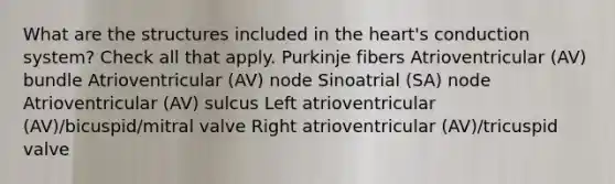 What are the structures included in the heart's conduction system? Check all that apply. Purkinje fibers Atrioventricular (AV) bundle Atrioventricular (AV) node Sinoatrial (SA) node Atrioventricular (AV) sulcus Left atrioventricular (AV)/bicuspid/mitral valve Right atrioventricular (AV)/tricuspid valve