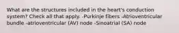 What are the structures included in the heart's conduction system? Check all that apply. -Purkinje fibers -Atrioventricular bundle -atrioventricular (AV) node -Sinoatrial (SA) node