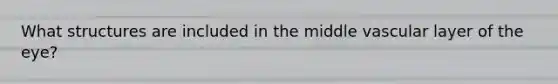 What structures are included in the middle vascular layer of the eye?