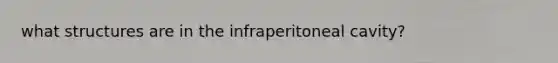 what structures are in the infraperitoneal cavity?