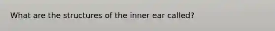 What are the structures of the inner ear called?