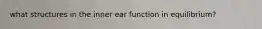 what structures in the inner ear function in equilibrium?