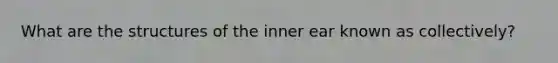 What are the structures of the inner ear known as collectively?