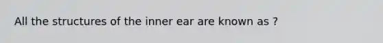 All the structures of the inner ear are known as ?