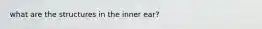 what are the structures in the inner ear?