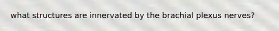 what structures are innervated by the brachial plexus nerves?