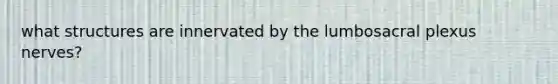 what structures are innervated by the lumbosacral plexus nerves?