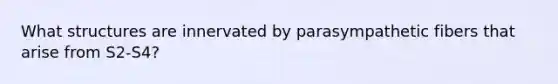 What structures are innervated by parasympathetic fibers that arise from S2-S4?