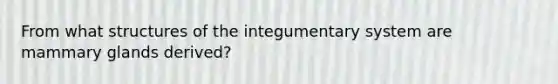 From what structures of the integumentary system are mammary glands derived?