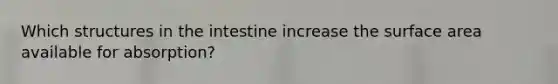 Which structures in the intestine increase the surface area available for absorption?