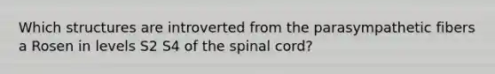 Which structures are introverted from the parasympathetic fibers a Rosen in levels S2 S4 of the spinal cord?