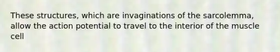 These structures, which are invaginations of the sarcolemma, allow the action potential to travel to the interior of the muscle cell