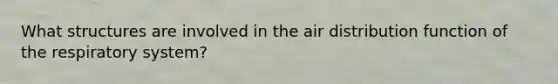 What structures are involved in the air distribution function of the respiratory system?