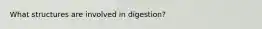 What structures are involved in digestion?