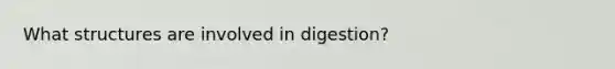 What structures are involved in digestion?