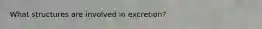 What structures are involved in excretion?