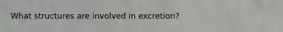 What structures are involved in excretion?