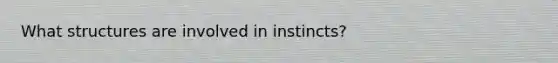 What structures are involved in instincts?