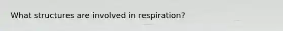 What structures are involved in respiration?