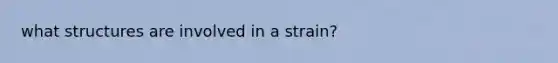 what structures are involved in a strain?