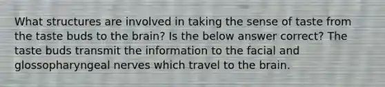 What structures are involved in taking the sense of taste from the taste buds to the brain? Is the below answer correct? The taste buds transmit the information to the facial and glossopharyngeal nerves which travel to the brain.