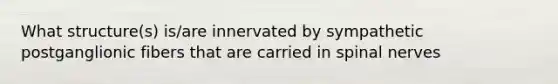 What structure(s) is/are innervated by sympathetic postganglionic fibers that are carried in spinal nerves