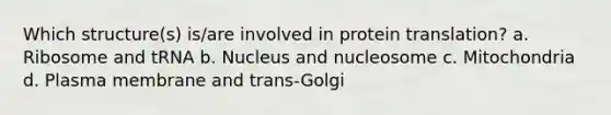 Which structure(s) is/are involved in protein translation? a. Ribosome and tRNA b. Nucleus and nucleosome c. Mitochondria d. Plasma membrane and trans-Golgi