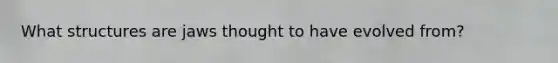 What structures are jaws thought to have evolved from?
