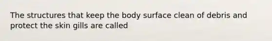 The structures that keep the body surface clean of debris and protect the skin gills are called