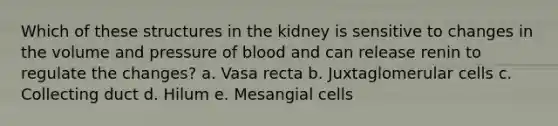 Which of these structures in the kidney is sensitive to changes in the volume and pressure of blood and can release renin to regulate the changes? a. Vasa recta b. Juxtaglomerular cells c. Collecting duct d. Hilum e. Mesangial cells