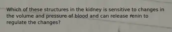 Which of these structures in the kidney is sensitive to changes in the volume and pressure of blood and can release renin to regulate the changes?