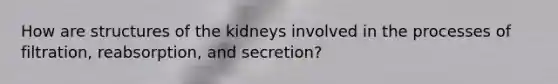 How are structures of the kidneys involved in the processes of filtration, reabsorption, and secretion?