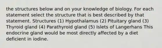 the structures below and on your knowledge of biology. For each statement select the structure that is best described by that statement. Structures (1) Hypothalamus (2) Pituitary gland (3) Thyroid gland (4) Parathyroid gland (5) Islets of Langerhans This endocrine gland would be most directly affected by a diet deficient in iodine.