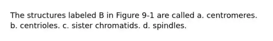 The structures labeled B in Figure 9-1 are called a. centromeres. b. centrioles. c. sister chromatids. d. spindles.