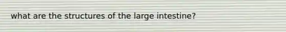 what are the structures of the <a href='https://www.questionai.com/knowledge/kGQjby07OK-large-intestine' class='anchor-knowledge'>large intestine</a>?