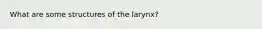 What are some structures of the larynx?