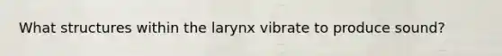 What structures within the larynx vibrate to produce sound?