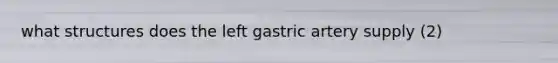 what structures does the left gastric artery supply (2)