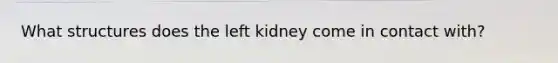 What structures does the left kidney come in contact with?