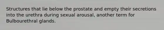 Structures that lie below the prostate and empty their secretions into the urethra during sexual arousal, another term for Bulbourethral glands.