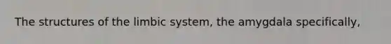 The structures of the limbic system, the amygdala specifically,