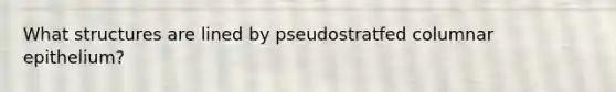 What structures are lined by pseudostratfed columnar epithelium?