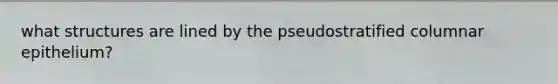what structures are lined by the pseudostratified columnar epithelium?