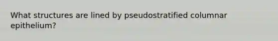 What structures are lined by pseudostratified columnar epithelium?